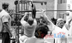 dave_draper_(121)
