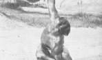 John_Grimek_7