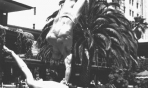 muscle_beach_ (4)-1