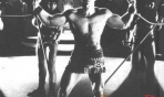 gordonmitchell7