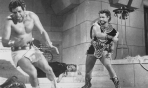 Gordon_Scott_fight