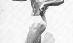 Clarence_Ross_14