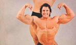 lou_ferrigno_(19)