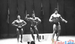 lou_ferrigno_(49)