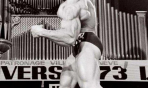 lou_ferrigno_(8)