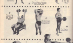 reg_park_(100)