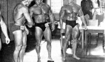 reg_park_(139)