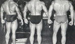 reg_park_(176)
